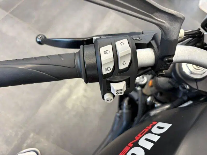 Ducati Monster 821 Stealth (2019 - 20) (11)