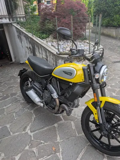 Ducati Scrambler 800 Classic (2017 - 18) usata