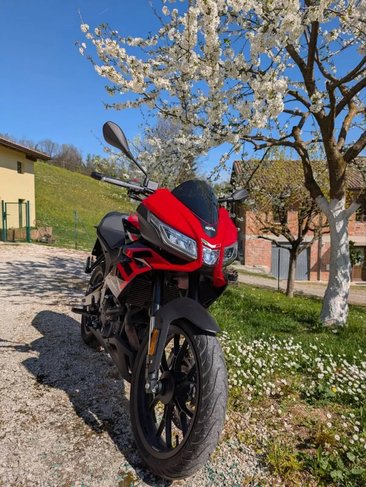 Aprilia Tuono 125 (2021 - 24) (2)