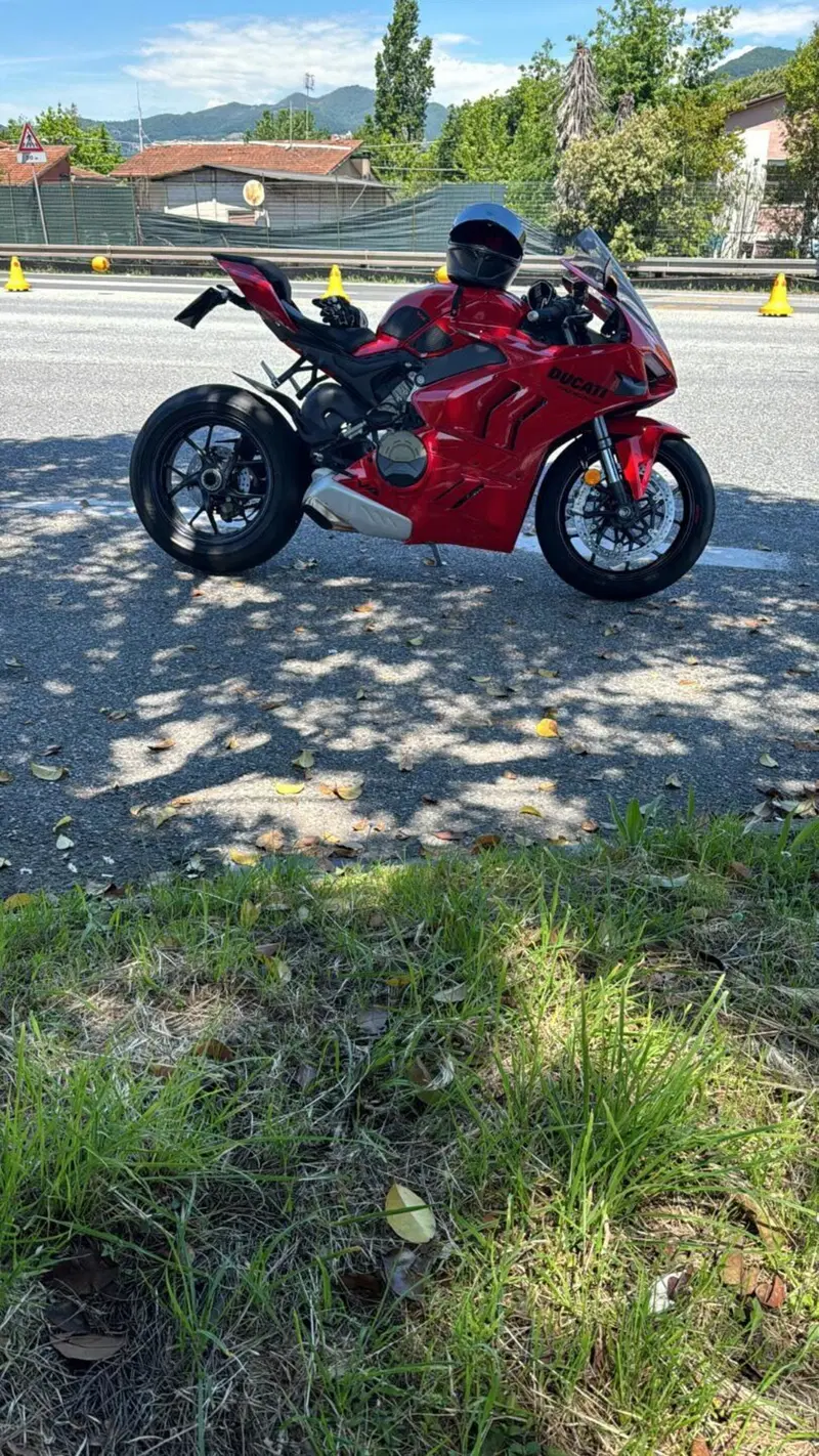 Ducati Panigale V4 (2022 - 24) (3)