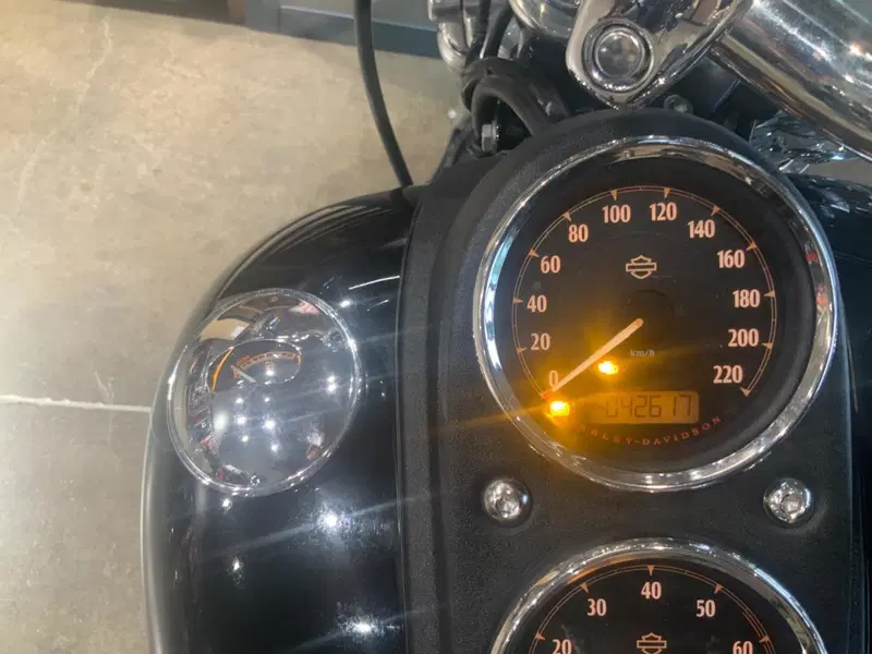 Harley-Davidson 1690 Low Rider (2014 - 17) - FXDL (2)