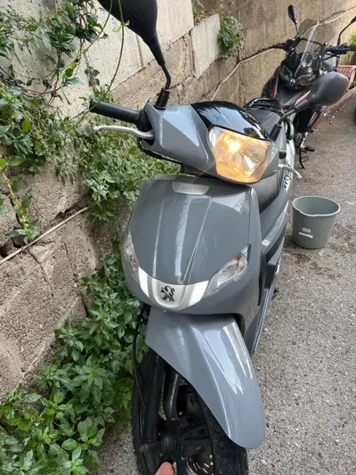Peugeot Tweet 50 (2015 - 20) usata