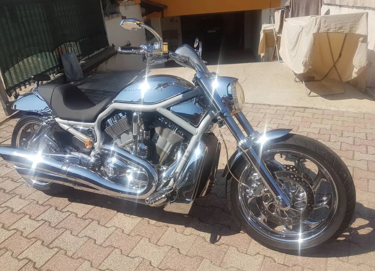 Harley-Davidson 1130 V-Rod (2002 - 05) - VRSCA (3)
