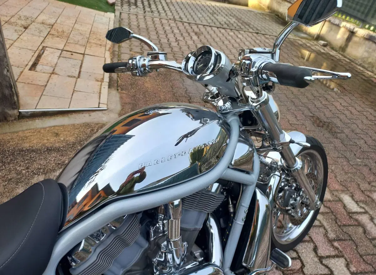 Harley-Davidson 1130 V-Rod (2002 - 05) - VRSCA (4)