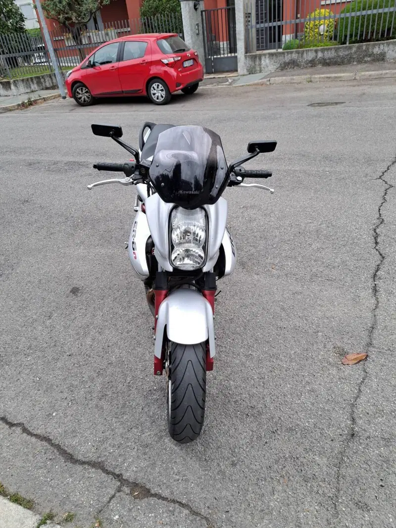 Kawasaki ER-6N (2006 - 09) (2)