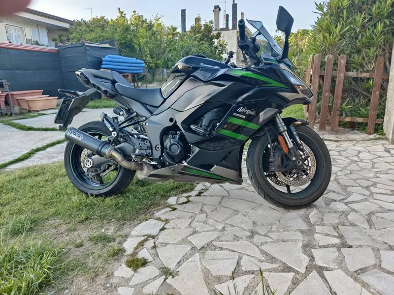 Kawasaki Ninja 1000 SX (2020) (6)