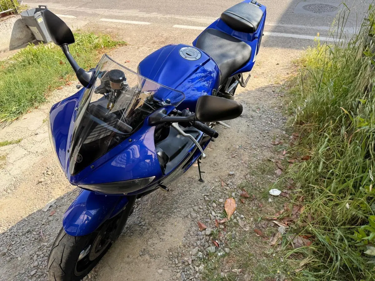 Yamaha YZF R6 (2003 - 04) (14)