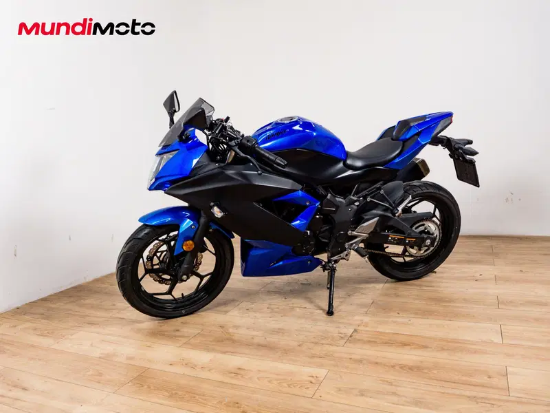 Kawasaki Ninja 300 ABS (2012 - 16) (6)
