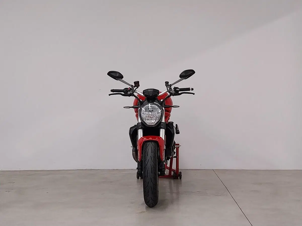 Ducati Monster 1200 (2017 - 21) (4)