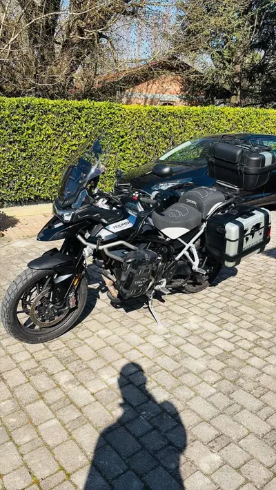 Triumph Tiger 900 GT Pro (2020 - 23) usata