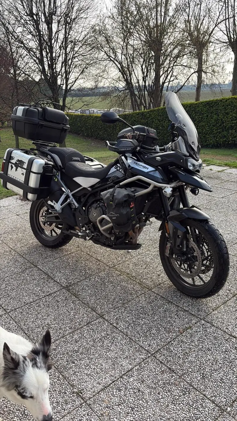 Triumph Tiger 900 GT Pro (2020 - 23) (2)