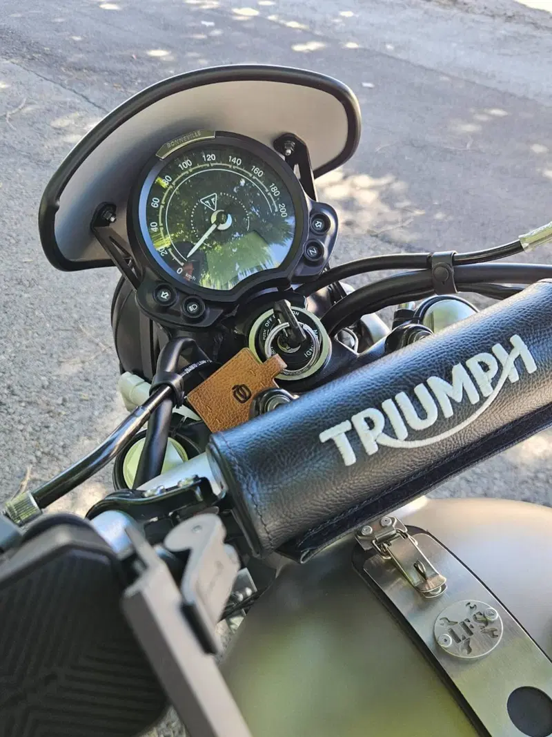 Triumph Street Scrambler 900 Sandstorm (2021 - 22) (5)
