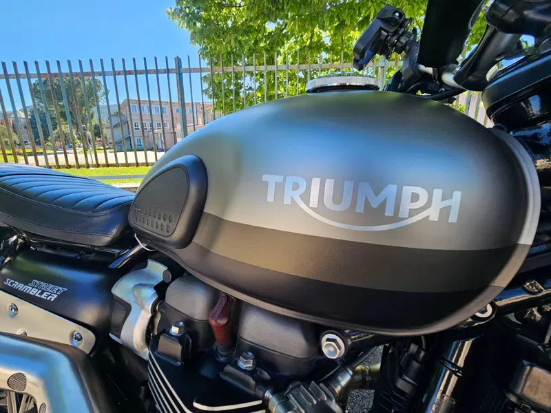 Triumph Street Scrambler 900 Sandstorm (2021 - 22) (6)