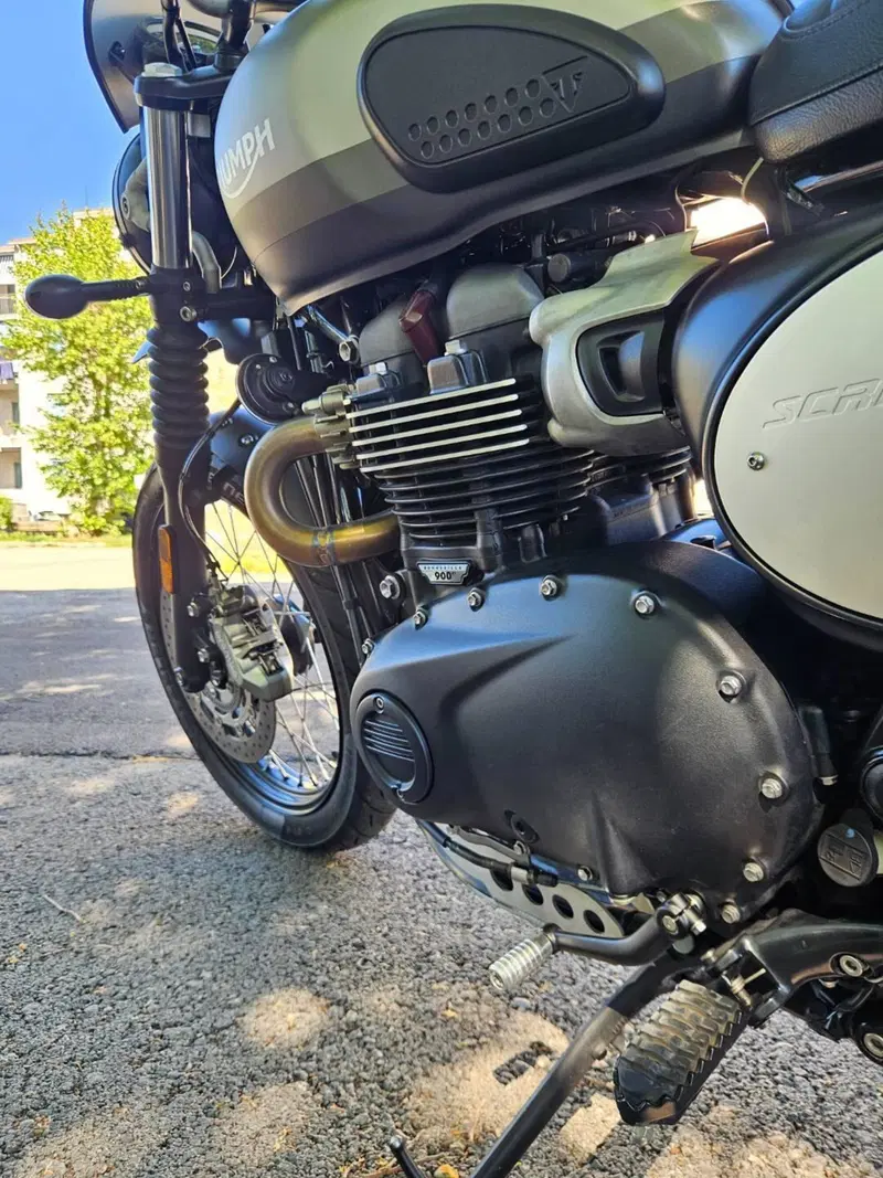 Triumph Street Scrambler 900 Sandstorm (2021 - 22) (8)