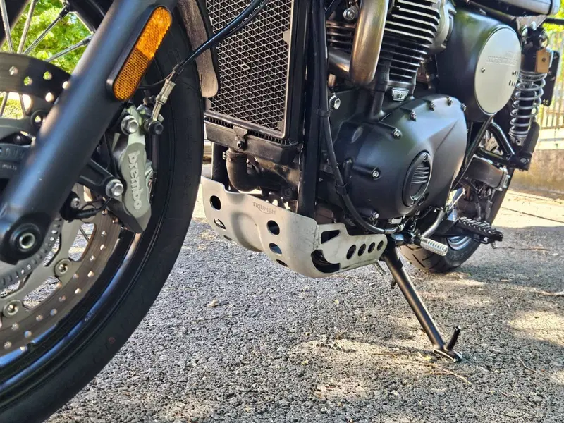 Triumph Street Scrambler 900 Sandstorm (2021 - 22) (12)