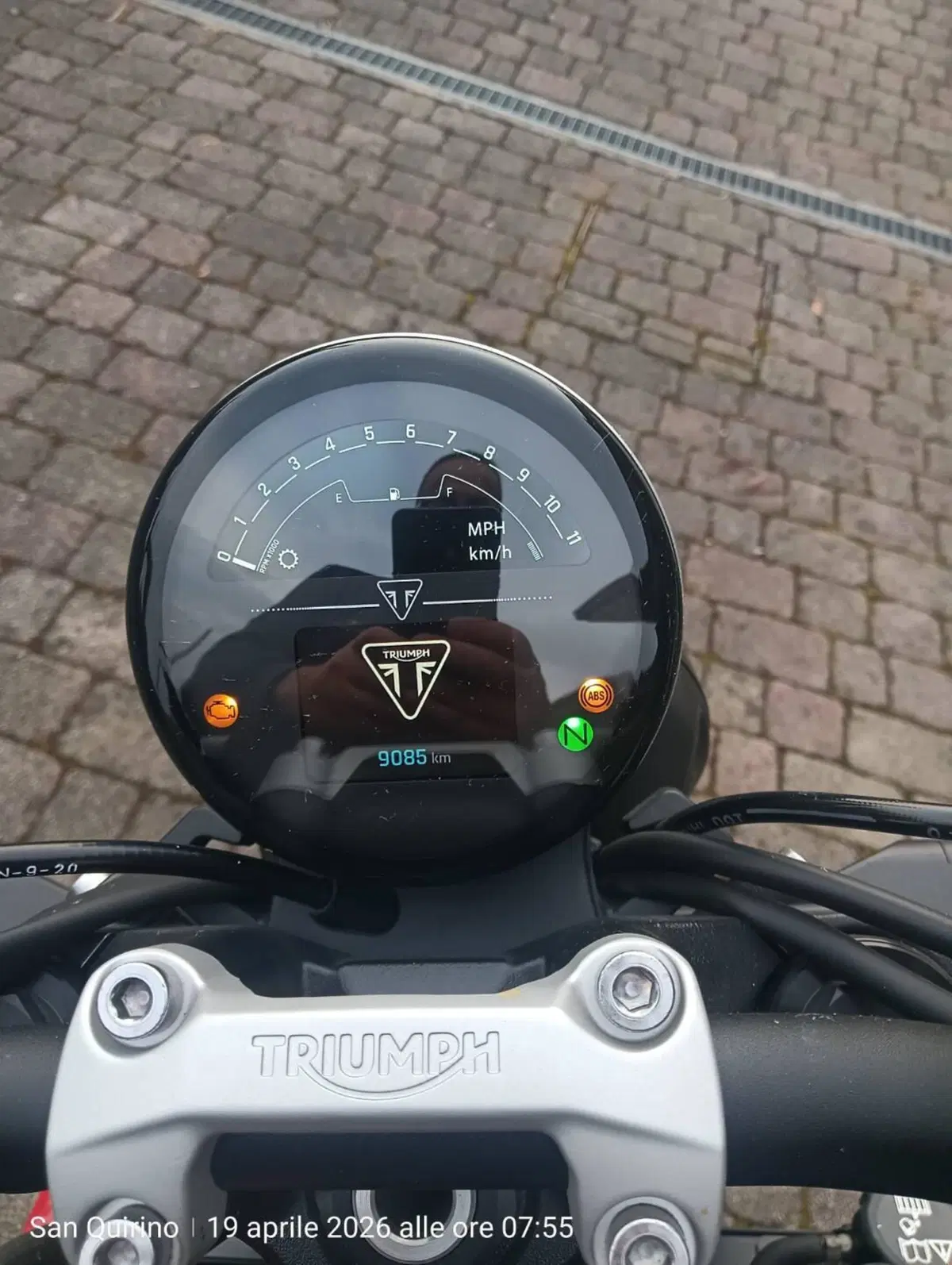 Triumph Trident 660 (2021 - 24) (2)