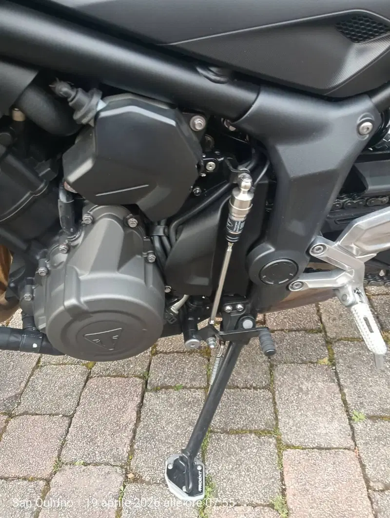 Triumph Trident 660 (2021 - 24) (3)