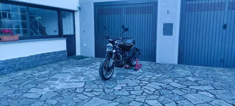 Husqvarna Svartpilen 401 (2018 - 19) (5)