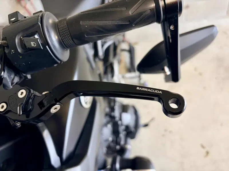 Yamaha MT-09 (2017 - 20) (4)
