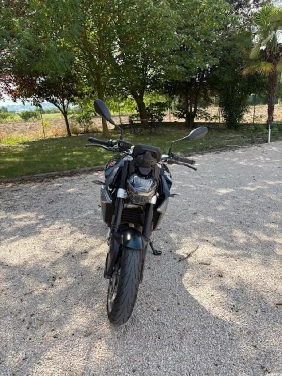 Bmw F 900 R (2021 - 24) (3)