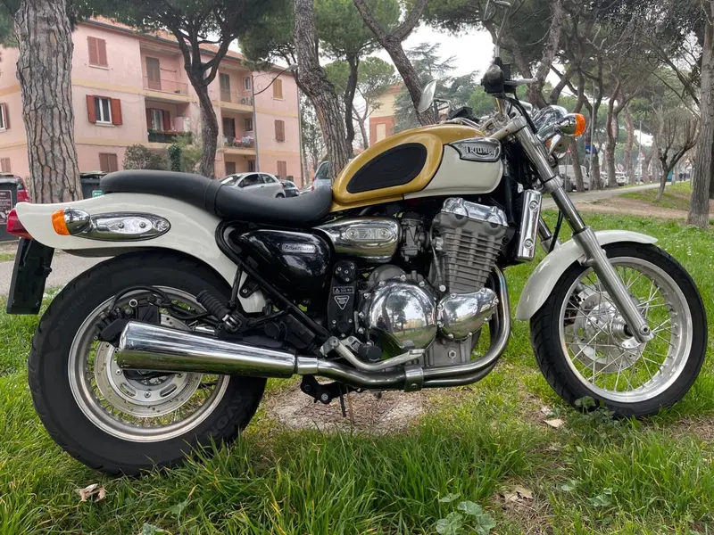 Triumph Thunderbird - Adventurer 900 (4)