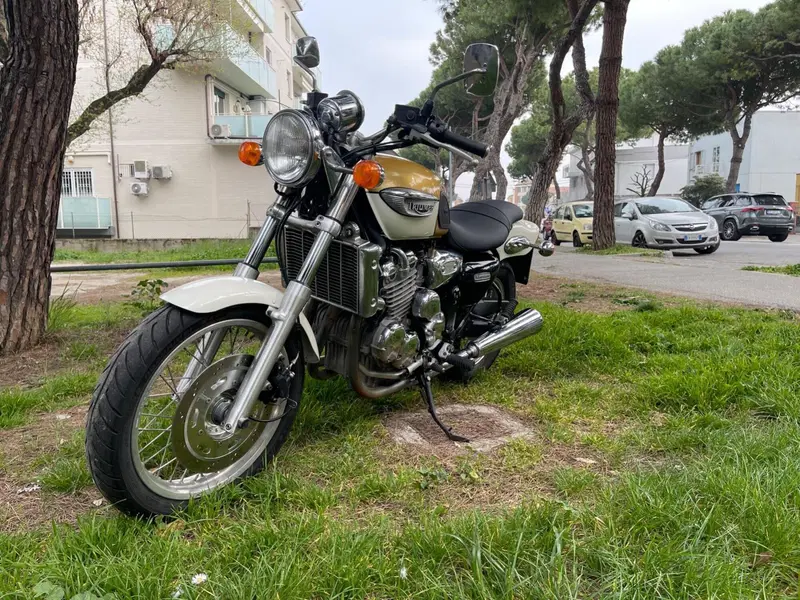 Triumph Thunderbird - Adventurer 900 (5)
