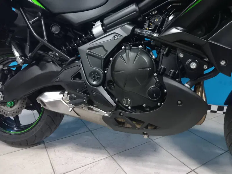 Kawasaki Versys 650 (2017 - 20) (15)