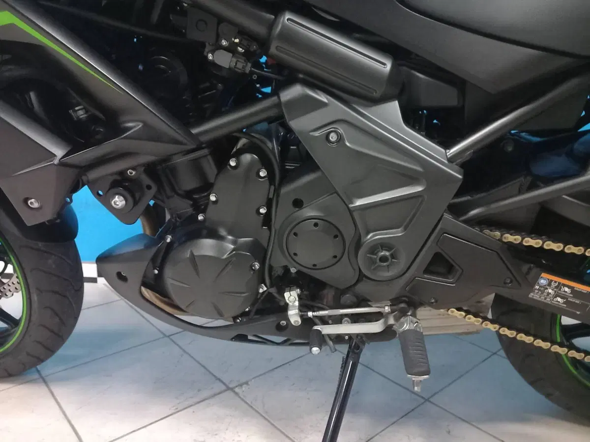 Kawasaki Versys 650 (2017 - 20) (10)