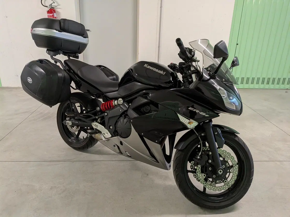 Kawasaki ER-6F (2009 - 11) (2)