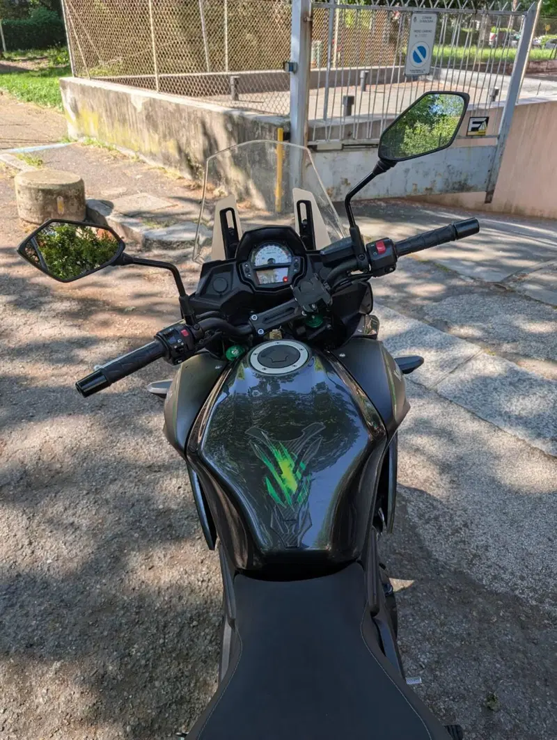 Kawasaki Versys 650 Grand Tourer (2017 - 20) (4)