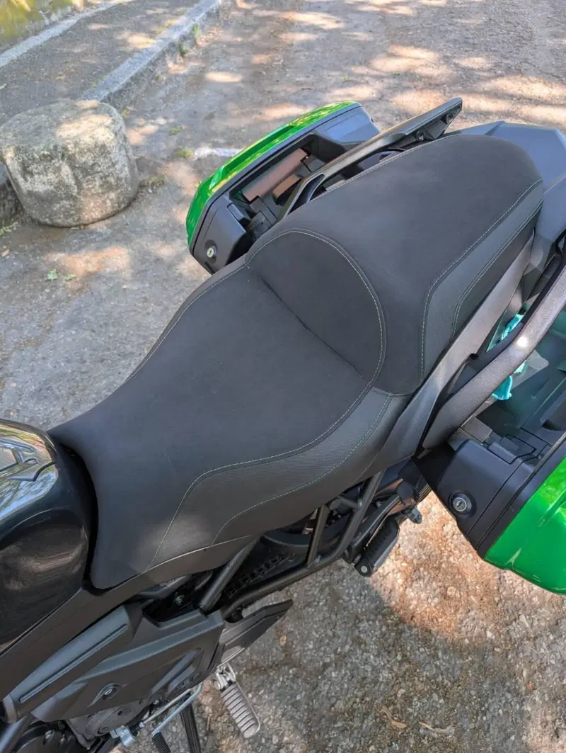 Kawasaki Versys 650 Grand Tourer (2017 - 20) (6)