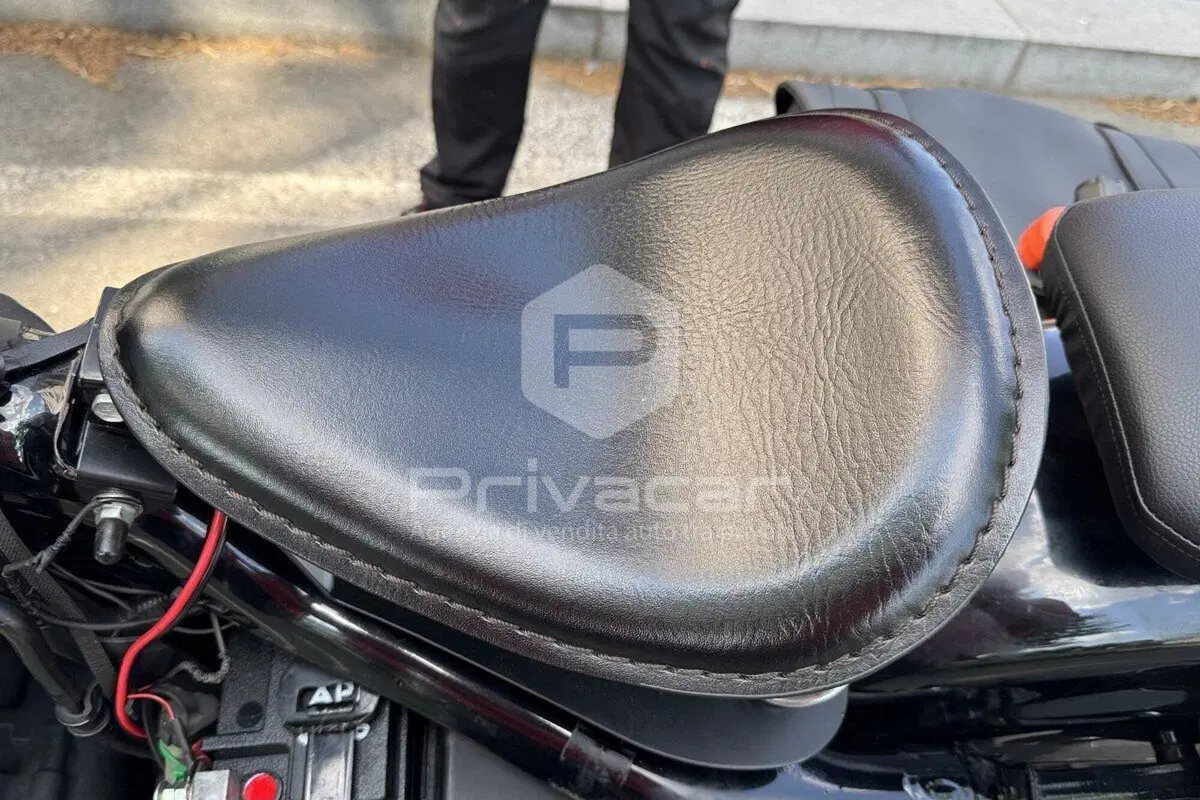 Harley-Davidson 883 R (2006 - 07) - XL 883R (12)