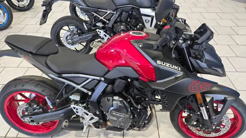 Suzuki GSX-8S (2025 - 26) (3)