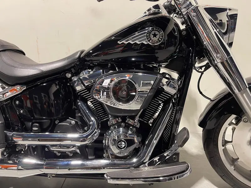 Harley-Davidson Fat Boy 117 (2025 - 26) (3)