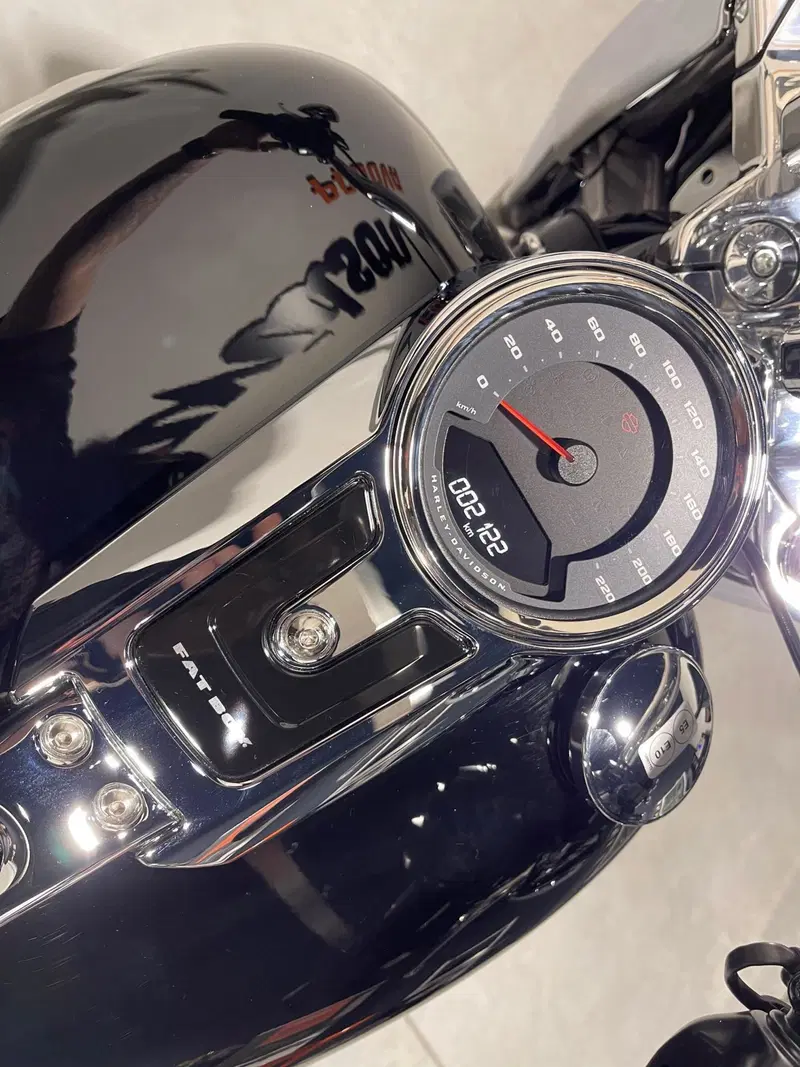 Harley-Davidson Fat Boy 117 (2025 - 26) (9)