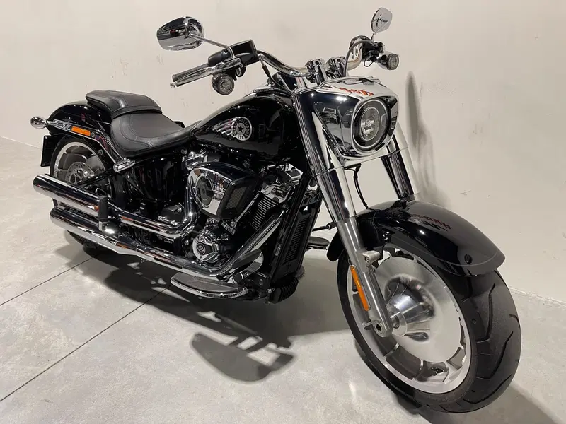 Harley-Davidson Fat Boy 117 (2025 - 26) (2)