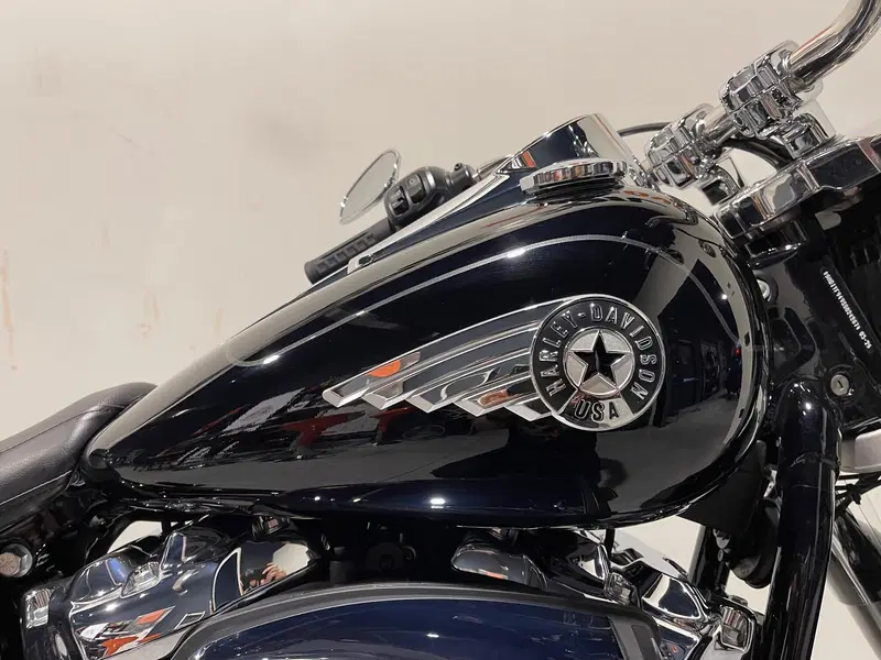 Harley-Davidson Fat Boy 117 (2025 - 26) (8)