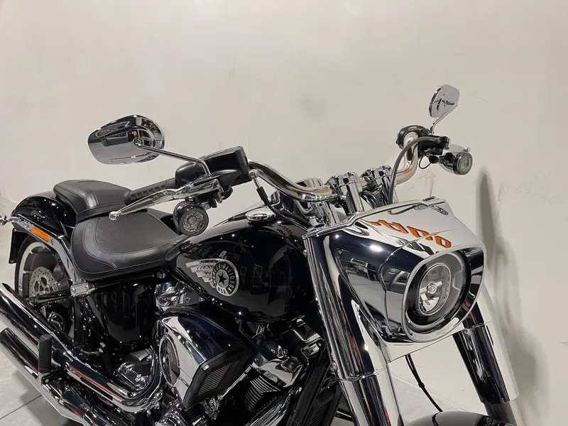 Harley-Davidson Fat Boy 117 (2025 - 26) (5)