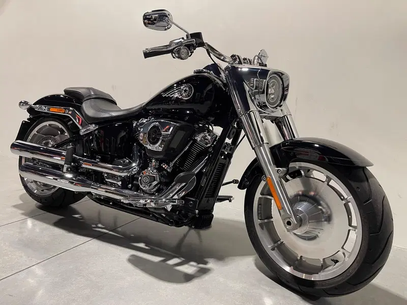 Harley-Davidson Fat Boy 117 (2025 - 26) (12)