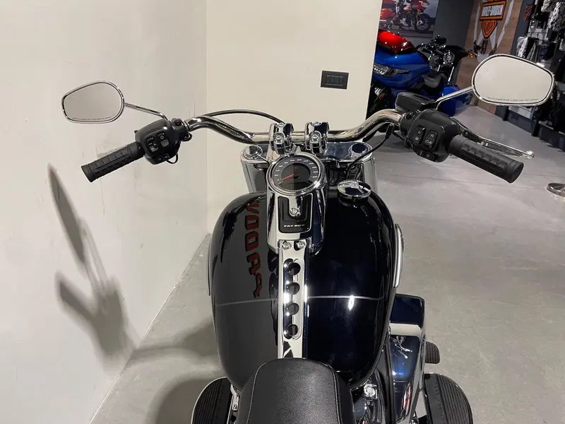 Harley-Davidson Fat Boy 117 (2025 - 26) (6)