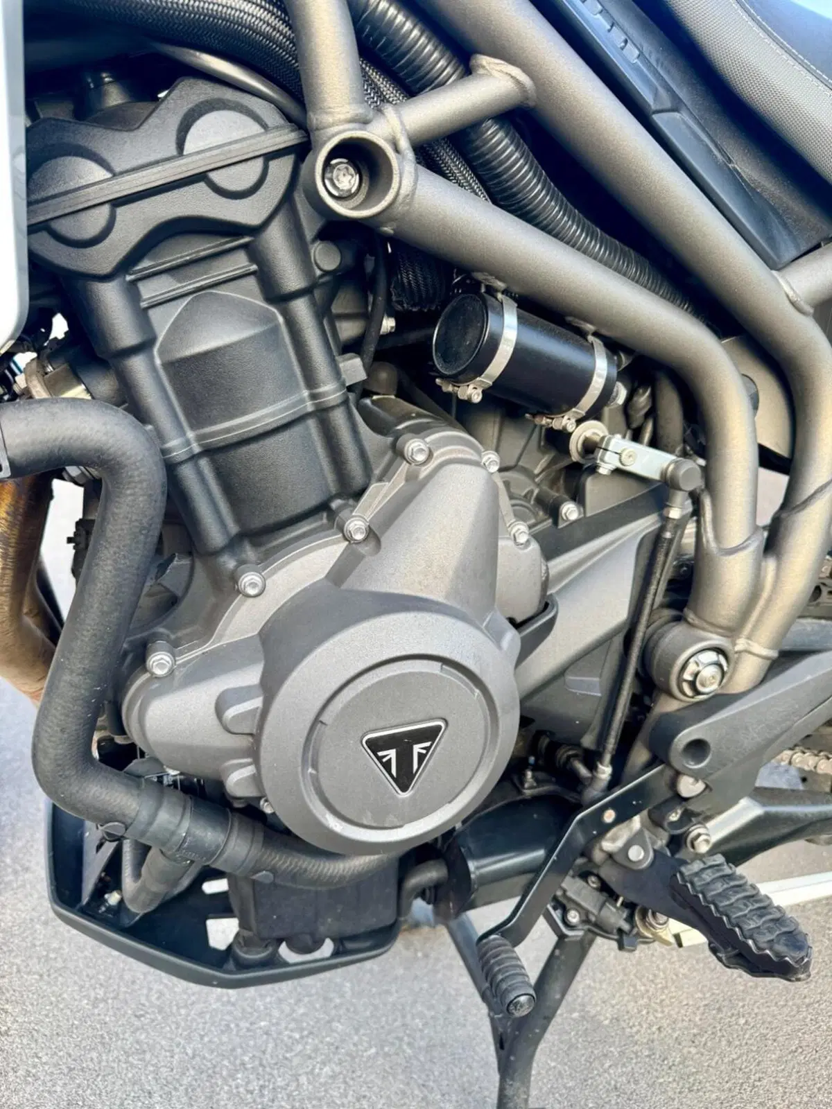 Triumph Tiger 800 XRt (2018 - 20) (14)