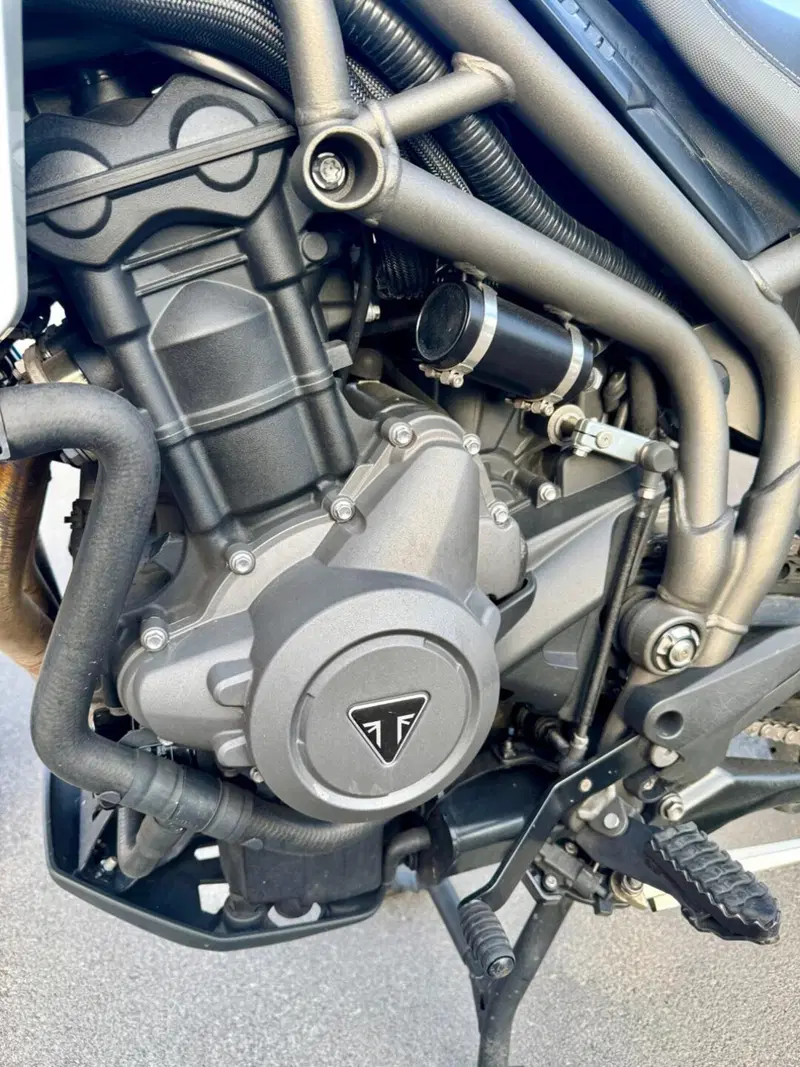 Triumph Tiger 800 XRt (2018 - 20) (14)