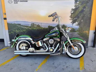 Harley-Davidson 1584 Heritage Classic (2008 - 10) - FLSTC usata