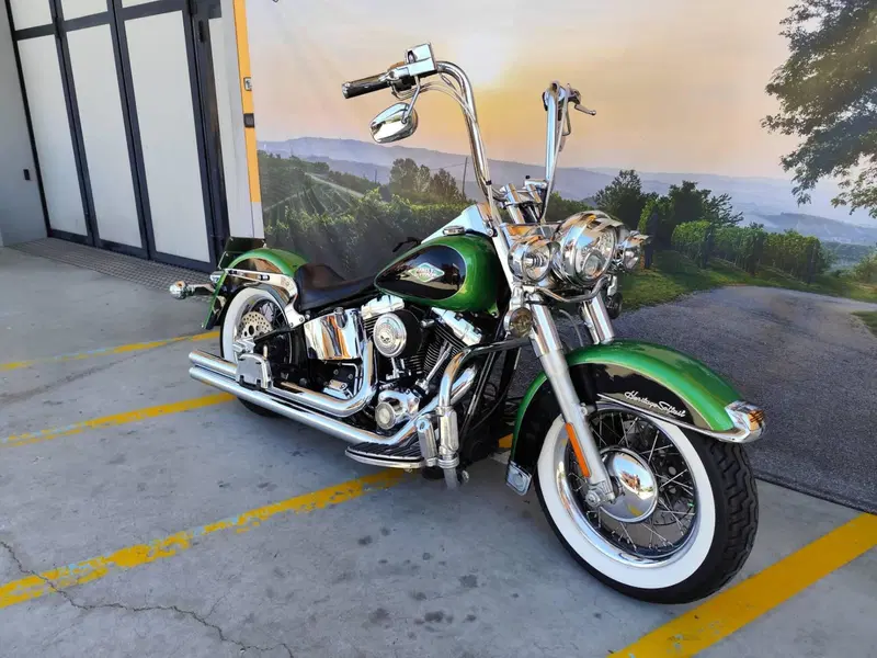 Harley-Davidson 1584 Heritage Classic (2008 - 10) - FLSTC (2)