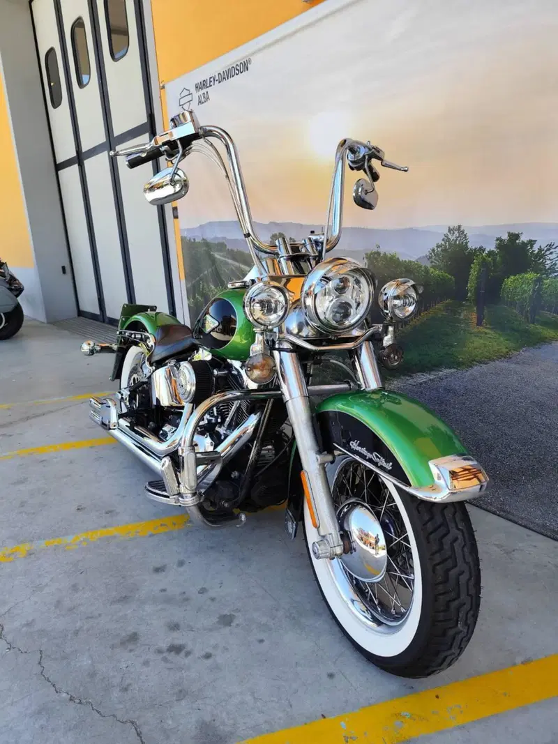 Harley-Davidson 1584 Heritage Classic (2008 - 10) - FLSTC (3)