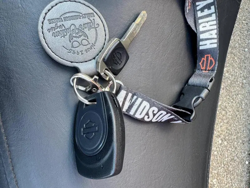 Harley-Davidson Nightster (2023 - 26) (19)