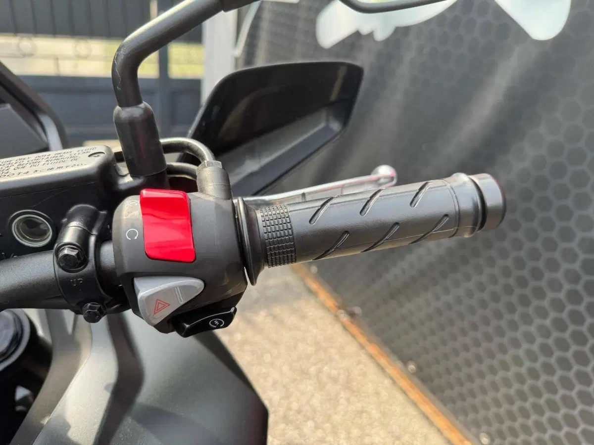 Honda NX500 (2024 - 25) (16)