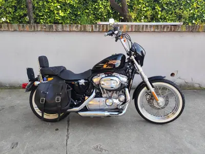 Harley-Davidson 883 Low (2008 - 12) - XL 883L usata
