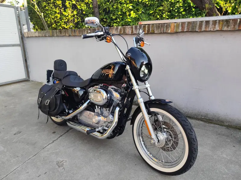 Harley-Davidson 883 Low (2008 - 12) - XL 883L (2)