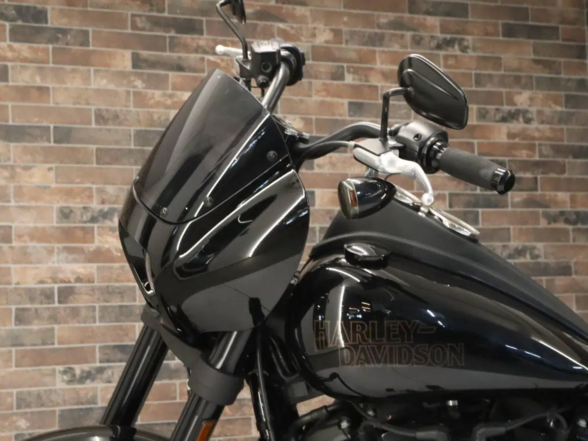 Harley-Davidson 114 Low Rider S (2021) - FXLRS (10)